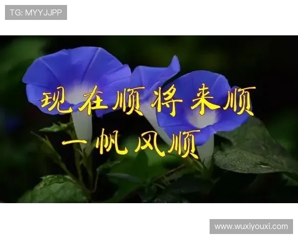 开运游戏网址让你轻松掌握好运秘籍，开启属于你的幸运人生