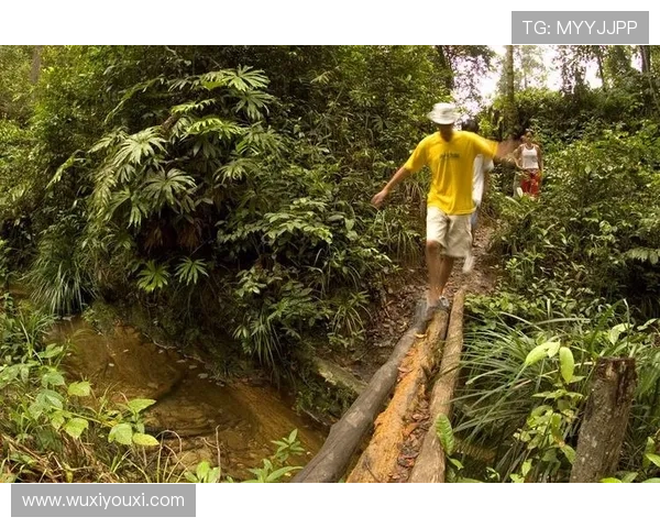通过开云app网址享受更便捷的在线购物服务分享